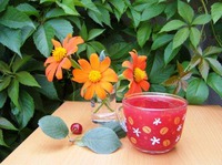 Вишневый кисель ингредиенты